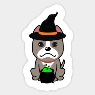 Cute grey dog is a witch Sticker